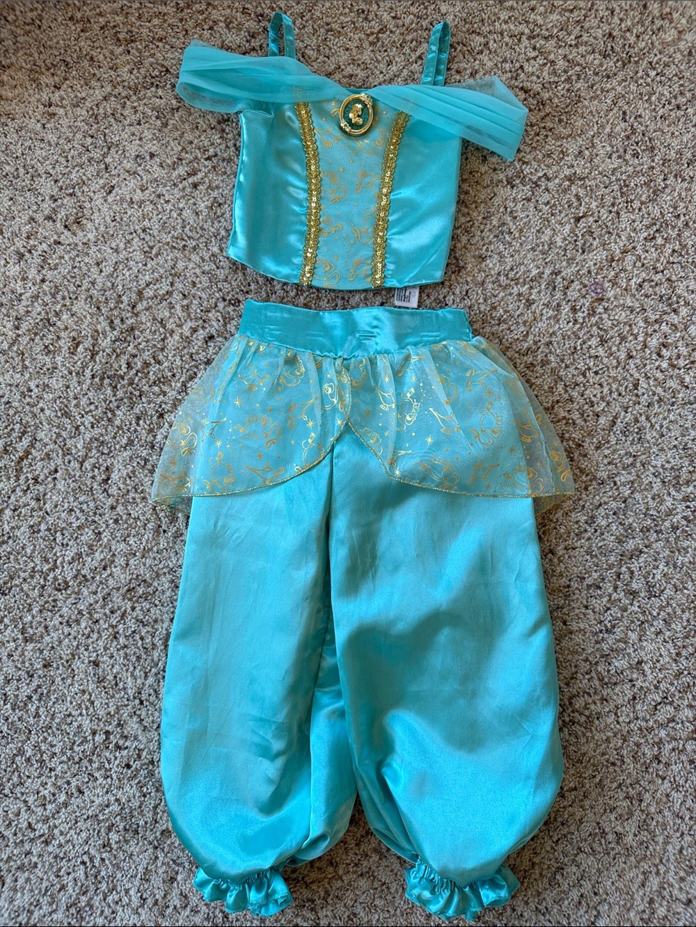 Aladdin Jasmin Disney Costume - Picture 3 of 5